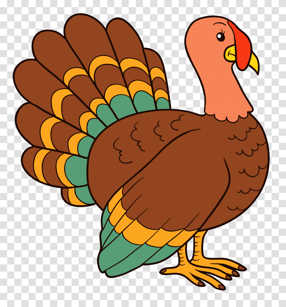 Turkey Clipart Claw, Bird, Animal, Fowl, Turkey Bird Transparent Png