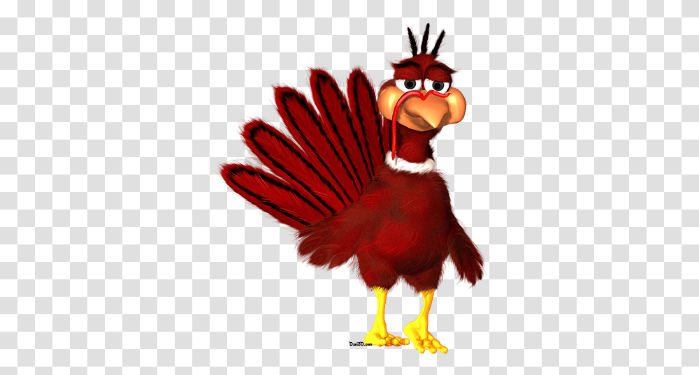 Turkey Clipart No Background Animated Turkey With No Background, Beak, Bird, Animal, Chicken Transparent Png