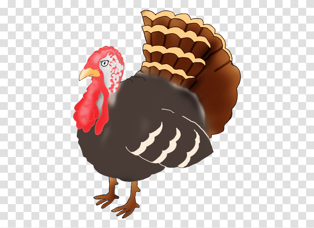 Turkey Clipart Turkey Drawing, Bird, Animal, Fowl, Poultry Transparent Png