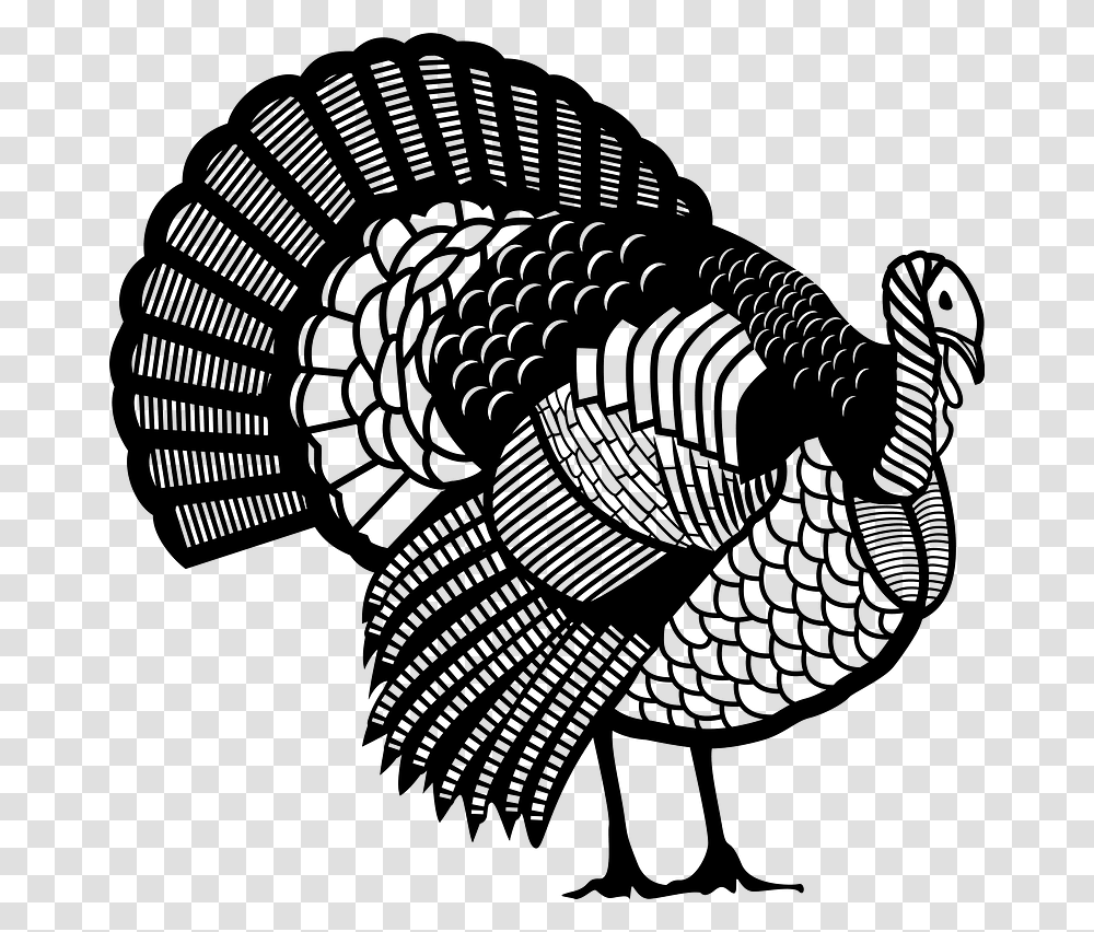 Turkey Clipart Turkey Vector, Turkey Bird, Poultry, Fowl, Animal Transparent Png