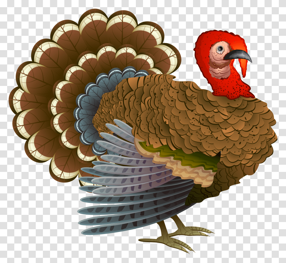 Turkey Clipart Turkeys For Thanksgiving, Animal, Fungus, Bird, Pattern Transparent Png
