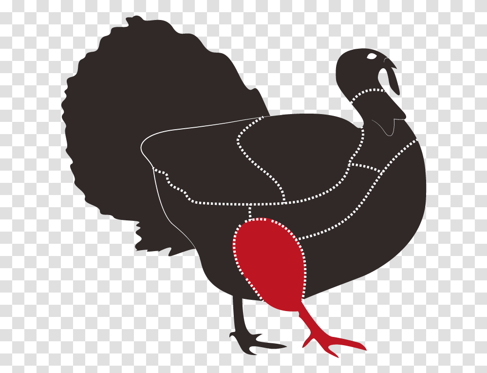 Turkey, Bird, Animal, Person Transparent Png
