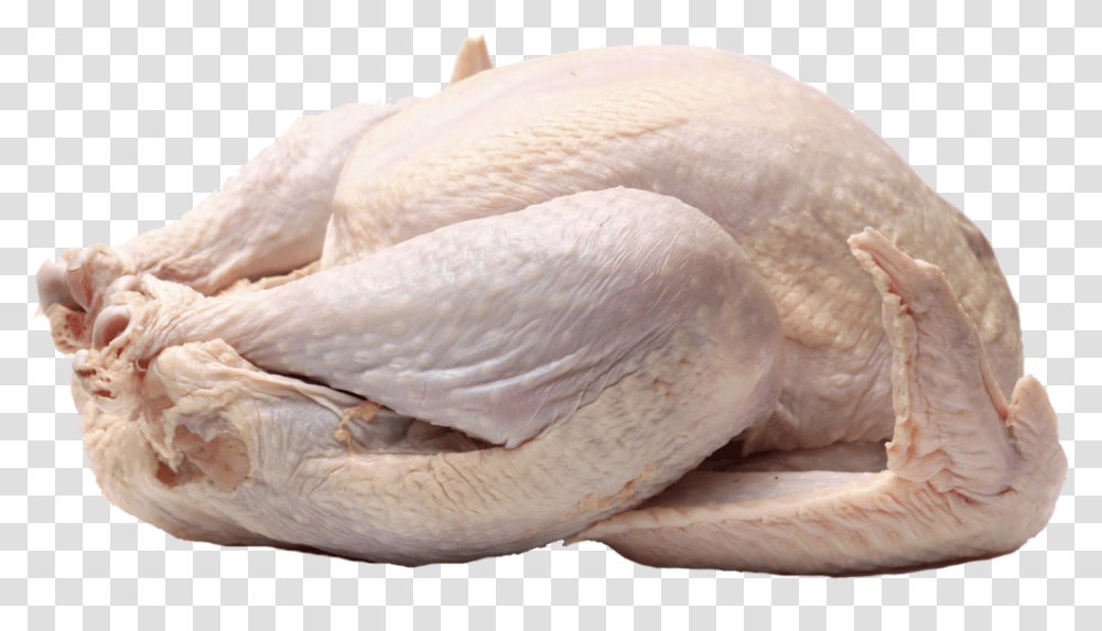 Turkey Dinner, Bird, Animal, Poultry, Fowl Transparent Png