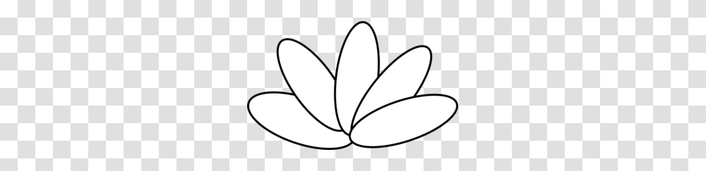 Turkey Feather Clipart, Plant, Flower, Blossom, Petal Transparent Png