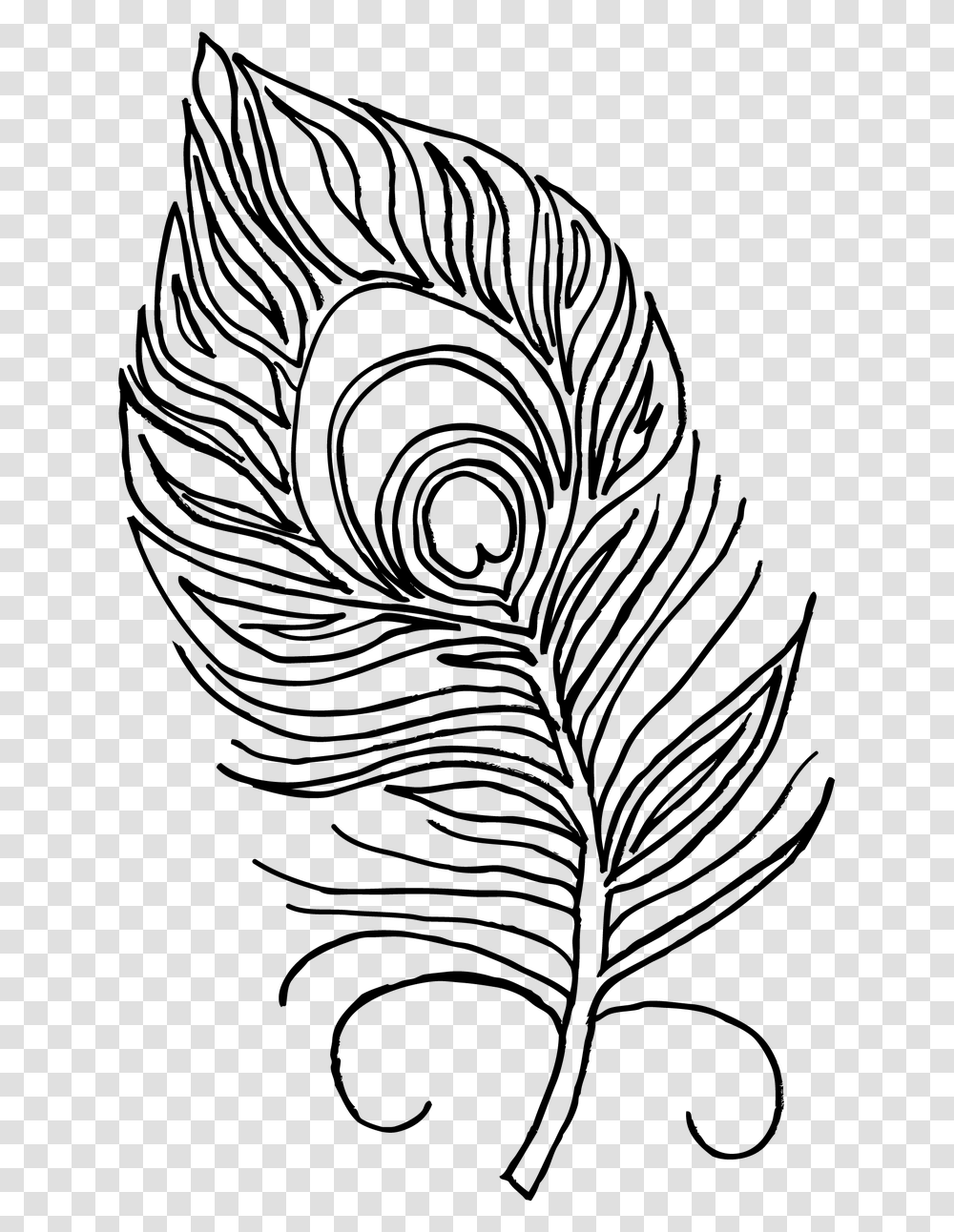 Turkey Feathers Clipart Black Amp White Picture Free Peacock Feather For Colouring, Gray, World Of Warcraft Transparent Png