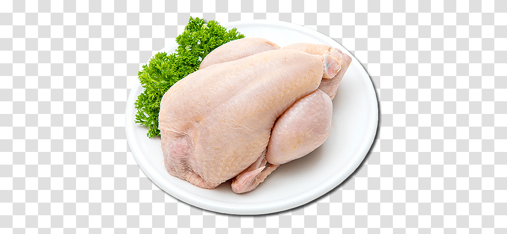 Turkey Meat, Animal, Bird, Fowl, Poultry Transparent Png