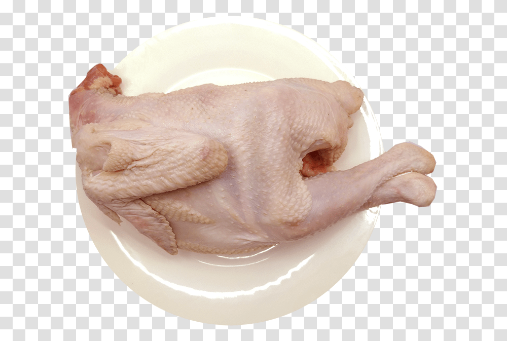 Turkey Meat, Bird, Animal, Fowl, Poultry Transparent Png