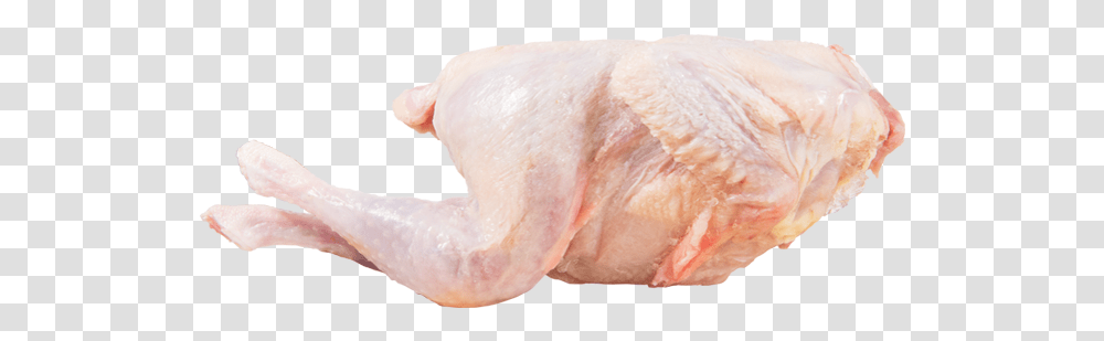 Turkey Meat, Bird, Animal, Heel, Skin Transparent Png