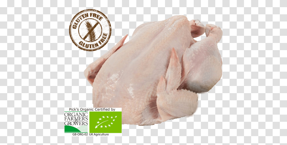 Turkey Meat, Bird, Animal, Poultry, Fowl Transparent Png