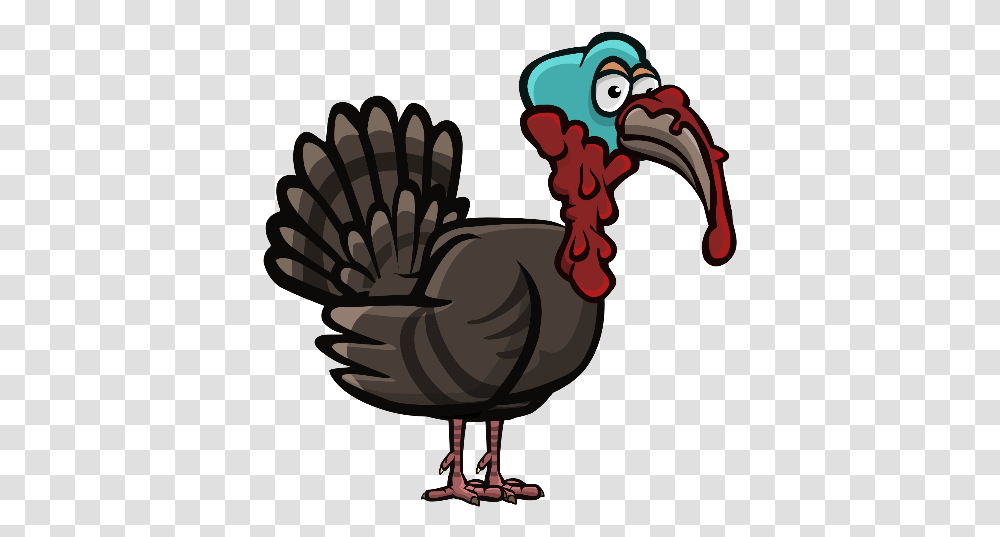 Turkey Meat, Bird, Animal, Turkey Bird, Poultry Transparent Png