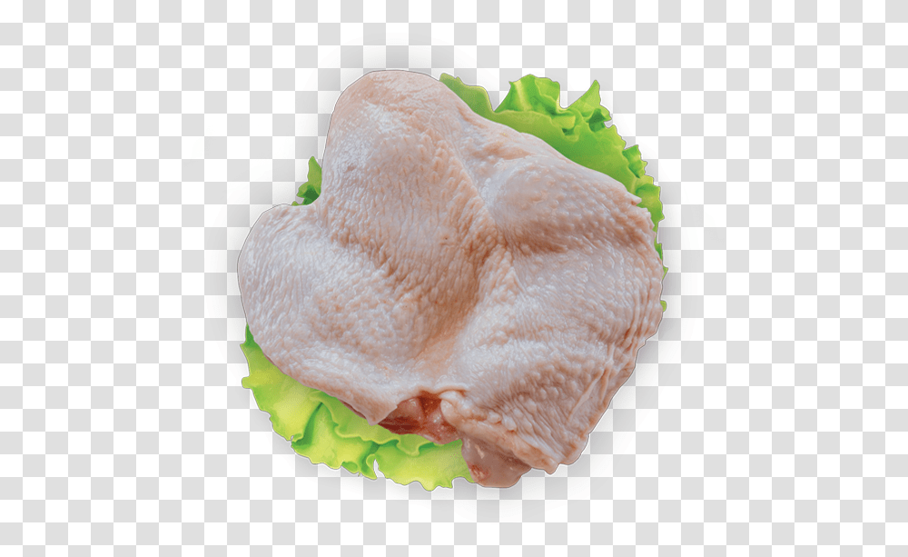 Turkey Meat, Burger, Food, Plant, Animal Transparent Png