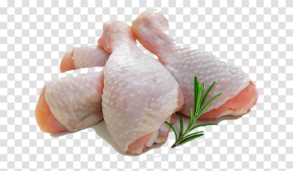 Turkey Meat, Poultry, Fowl, Bird, Animal Transparent Png