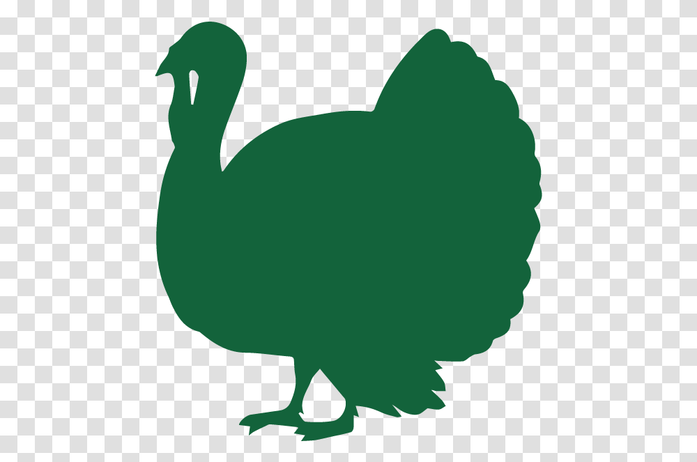 Turkey Silhouette Download, Animal, Bird, Dodo, Fowl Transparent Png