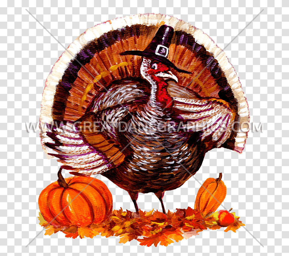 Turkey, Turkey Bird, Poultry, Fowl, Animal Transparent Png