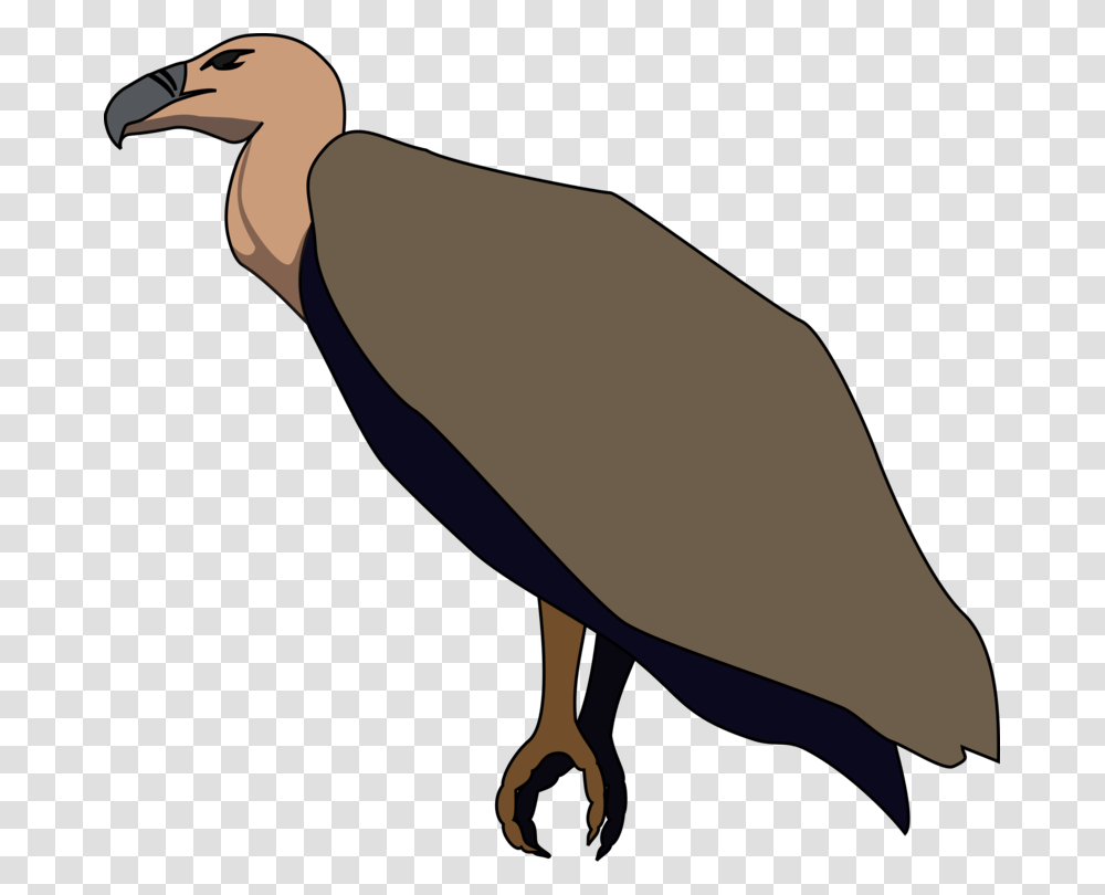 Turkey Vulture Beaky Buzzard Bird Of Prey, Animal, Condor, Axe, Tool Transparent Png
