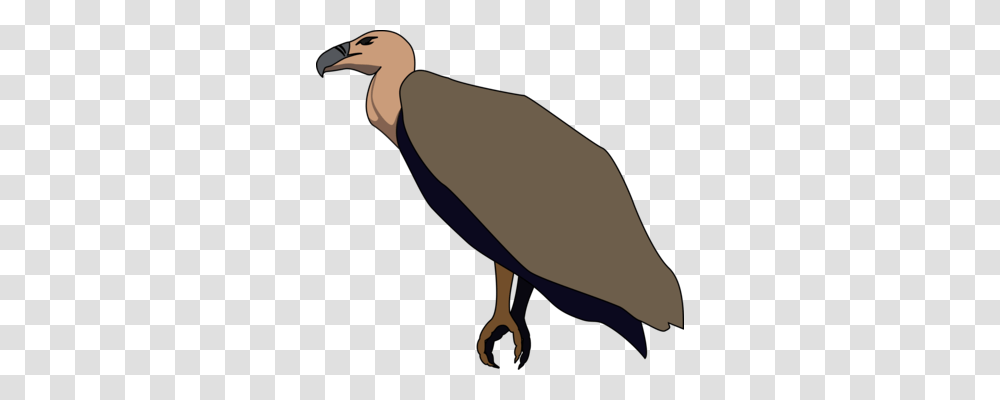 Turkey Vulture Bird California Condor, Animal, Dodo, Beak Transparent Png