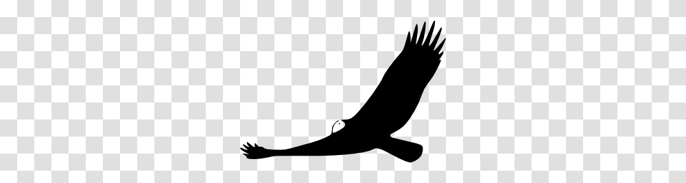 Turkey Vulture Clip Art, Animal, Sea Life, Fish, Sock Transparent Png