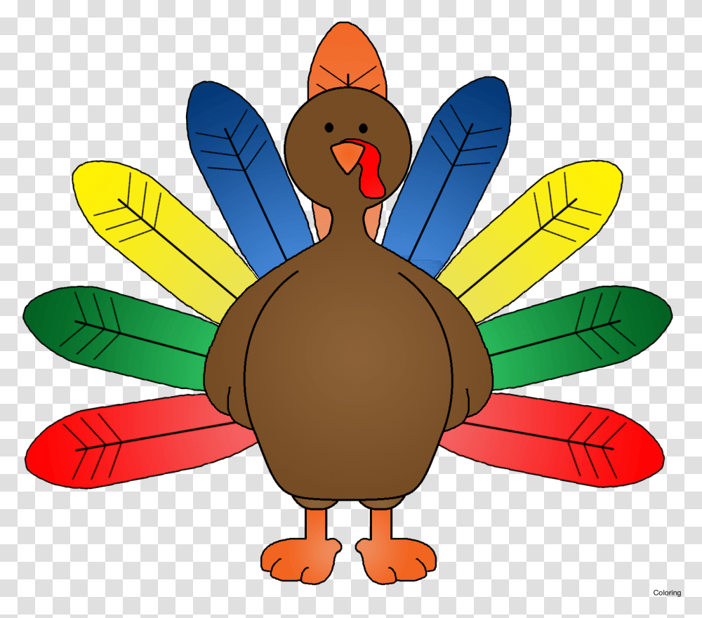 Turkey With Colored Feathers, Animal, Bird, Sea Life, Tortoise Transparent Png