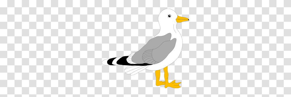 Turkey Without Feathers Clip Art, Bird, Animal, Jay, Puffin Transparent Png