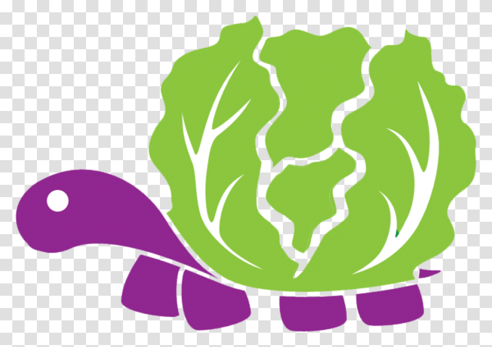 Turkey Wrap Clipart Jpg Library Stock Lettuce Eat Delivery Lettuce Eat Inc, Plant, Vegetable, Food, Cabbage Transparent Png