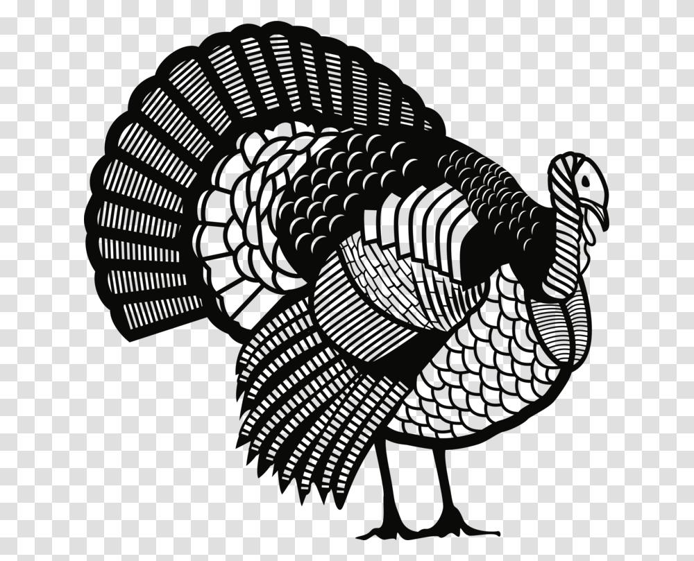 Turkeyline Artdomesticated Turkey, Animal, Bird, Turkey Bird, Poultry Transparent Png