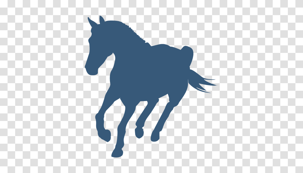 Turning Horse Silhouette, Mammal, Animal Transparent Png