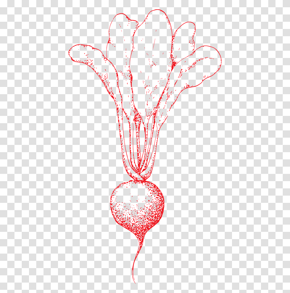 Turnip Clipart Hand Drawn Vegetable Drawing, Pendant, Ornament, Accessories, Accessory Transparent Png