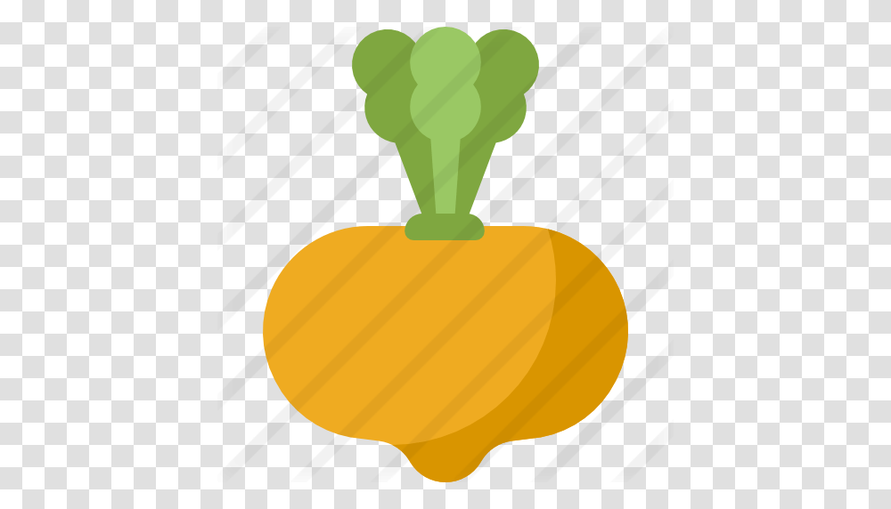 Turnip, Plant, Carrot, Vegetable, Food Transparent Png