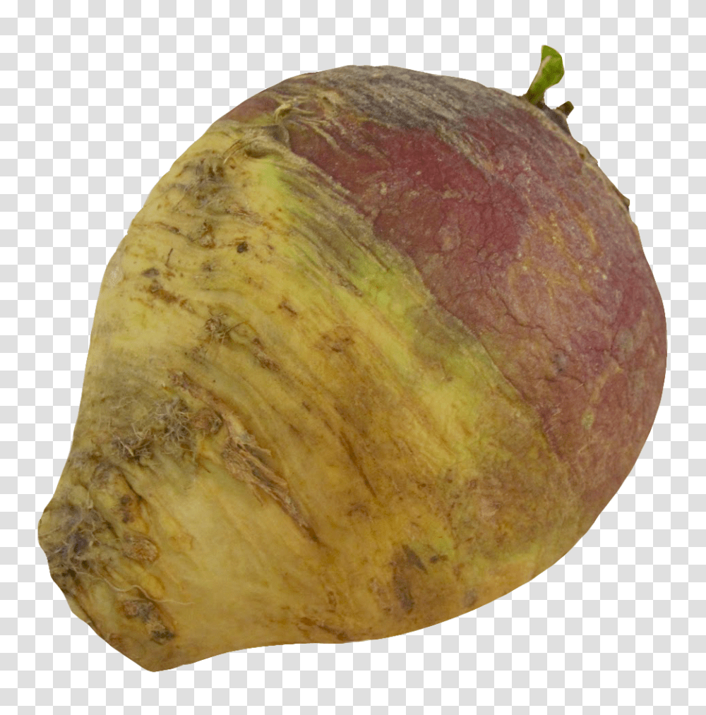 Turnip Rutabaga Root Image, Vegetable, Produce, Food, Plant Transparent Png