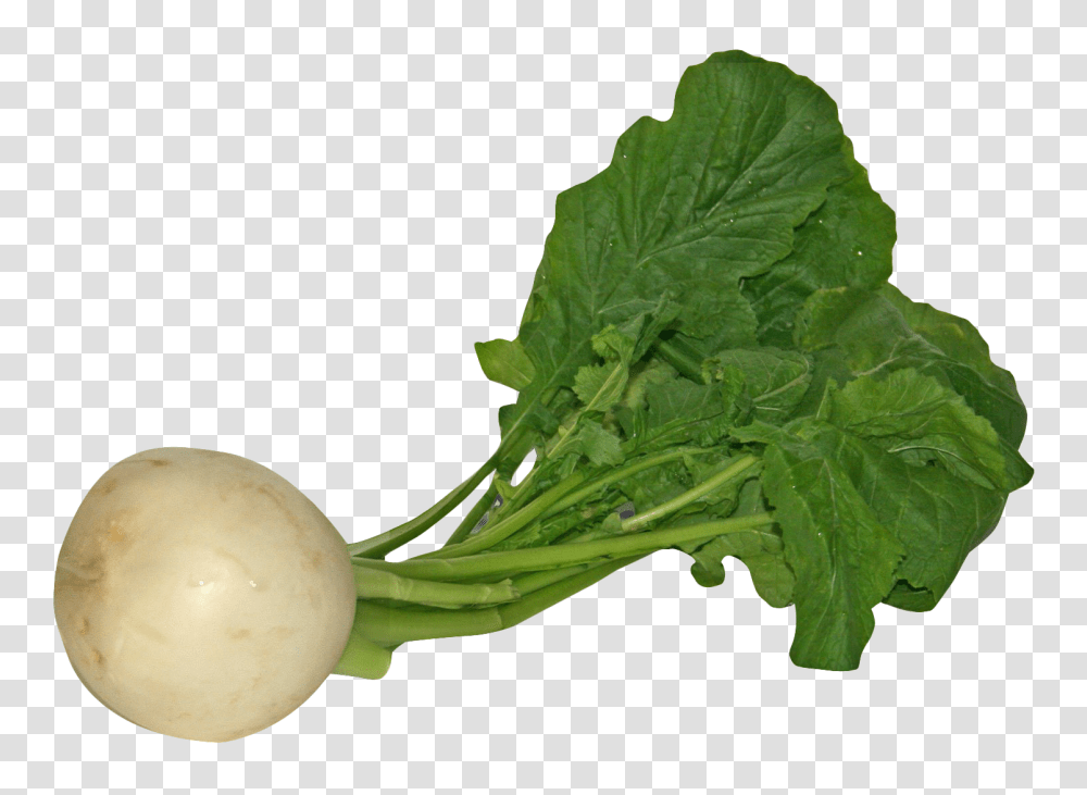 Turnip, Vegetable, Plant, Food, Produce Transparent Png