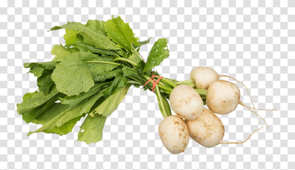 Turnips Image, Vegetable, Plant, Produce, Food Transparent Png