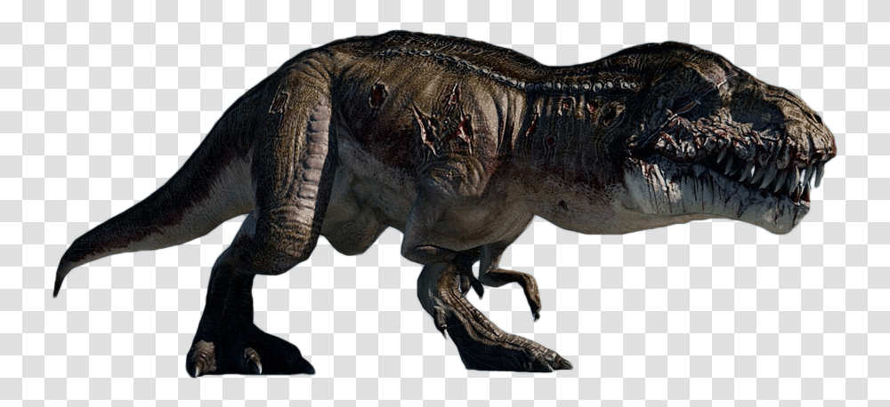 Turok Dinosaurs, T-Rex, Reptile, Animal, Elephant Transparent Png
