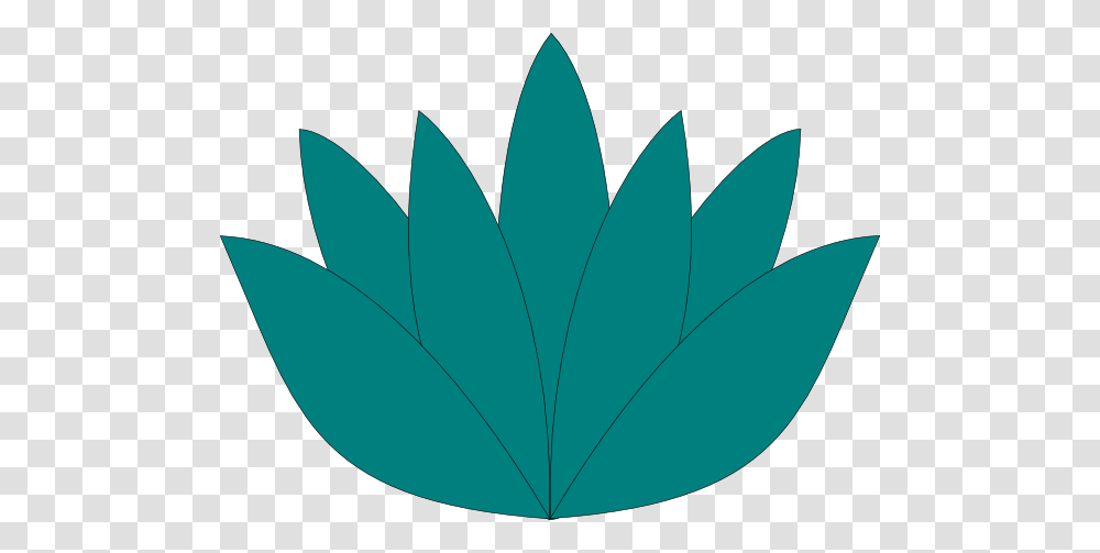 Turquoise Aqua Flowers Aqua, Leaf, Plant, Green Transparent Png