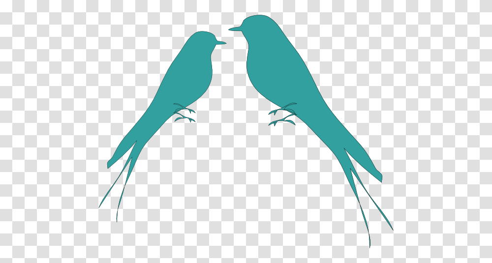 Turquoise Birds Cliparts, Animal, Finch, Silhouette, Blackbird Transparent Png