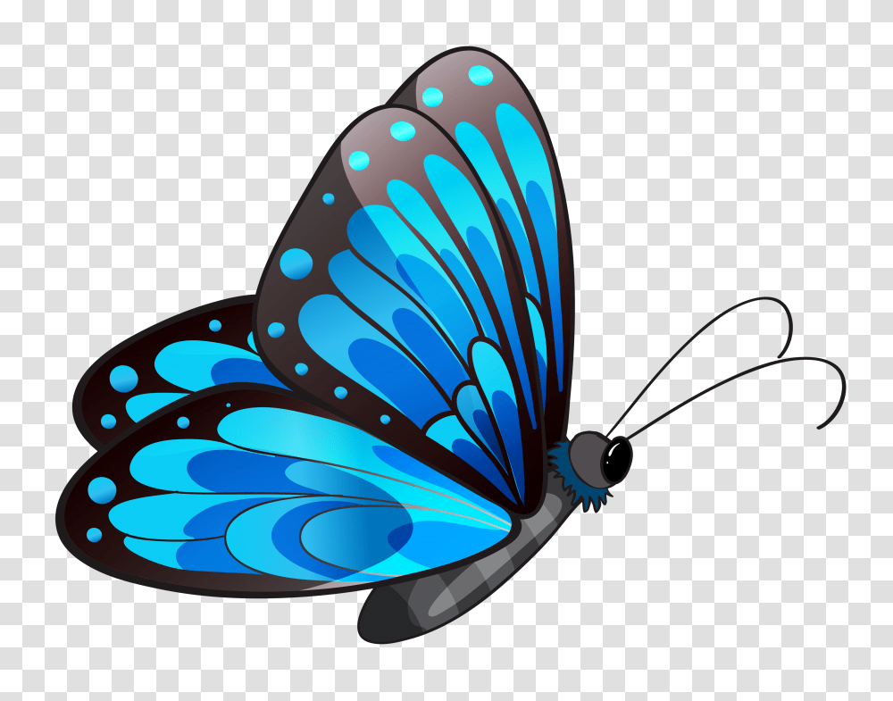 Turquoise Butterflies Clip Art, Animal, Floral Design, Pattern Transparent Png