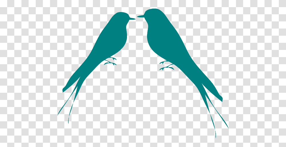 Turquoise Clipart Bird Shadow, Animal, Silhouette Transparent Png