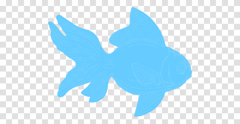 Turquoise Fish Clipart Clip Art, Animal, Shark, Sea Life, Mullet Fish Transparent Png