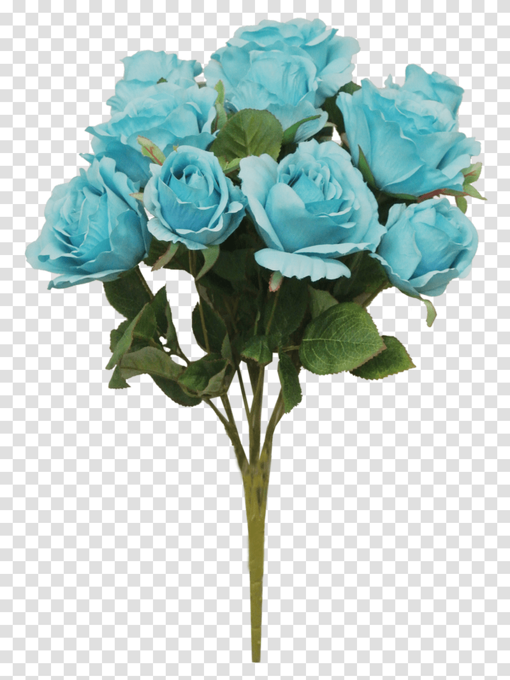 Turquoise Garden Roses, Plant, Flower, Blossom, Flower Arrangement Transparent Png
