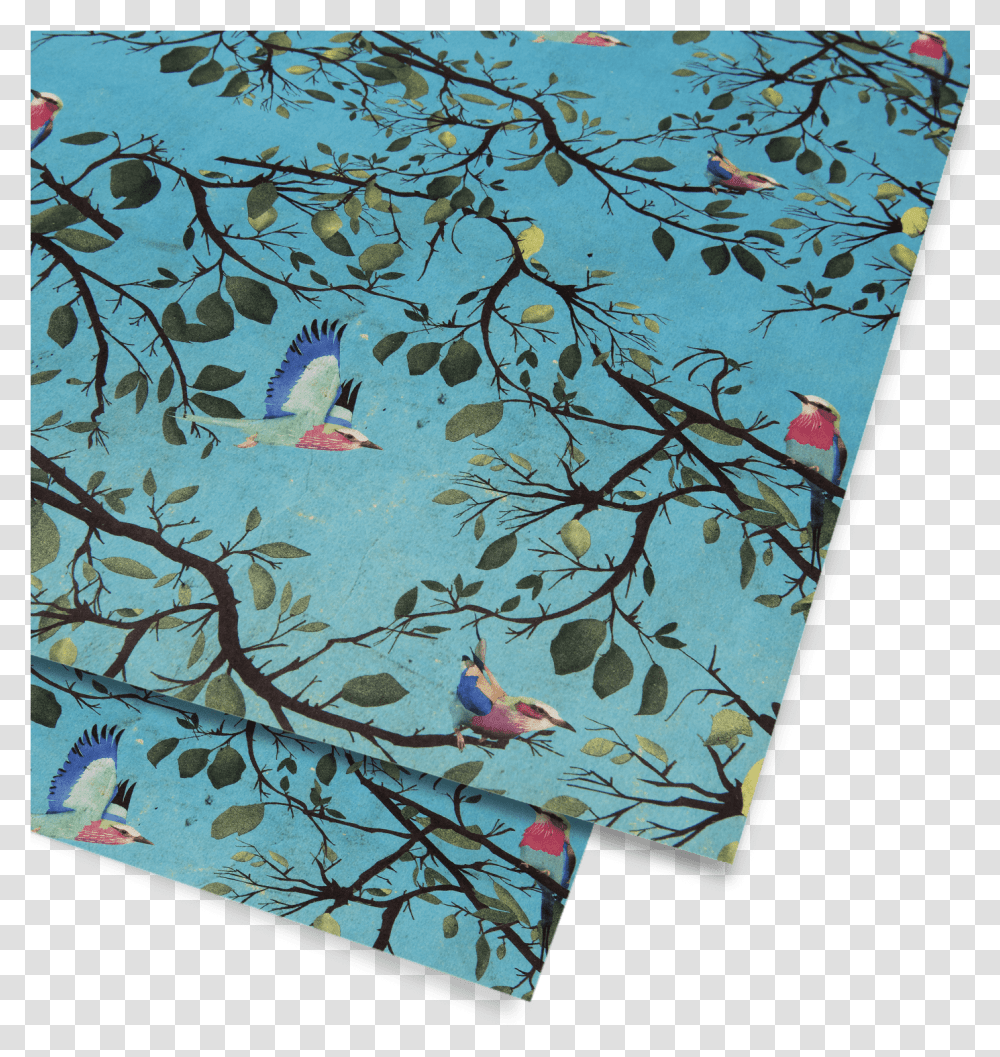 Turquoise Holler Bird Gift Wrap, Animal, Painting, Plant Transparent Png