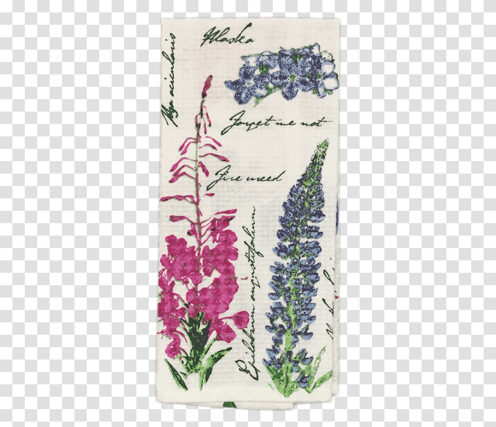 Turquoise Ixia, Plant, Flower, Pattern, Floral Design Transparent Png