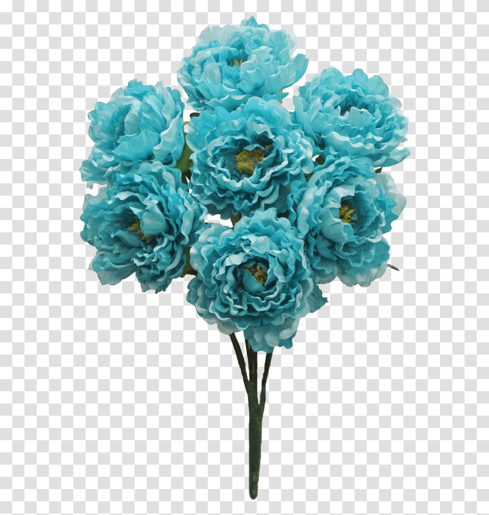 Turquoise Peony Flowers, Plant, Blossom, Geranium, Flower Arrangement Transparent Png