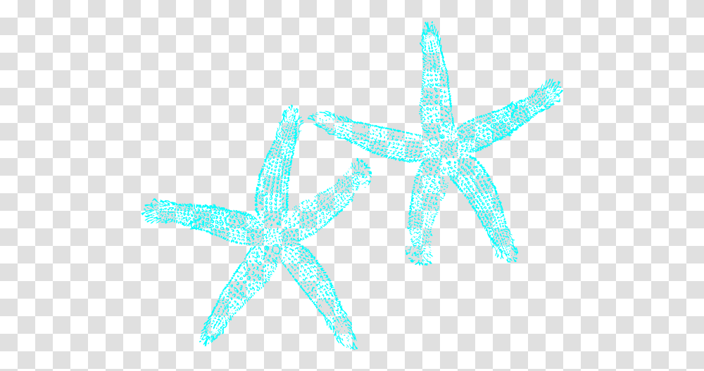Turquoise Starfish Clipart, Invertebrate, Sea Life, Animal, Star Symbol Transparent Png