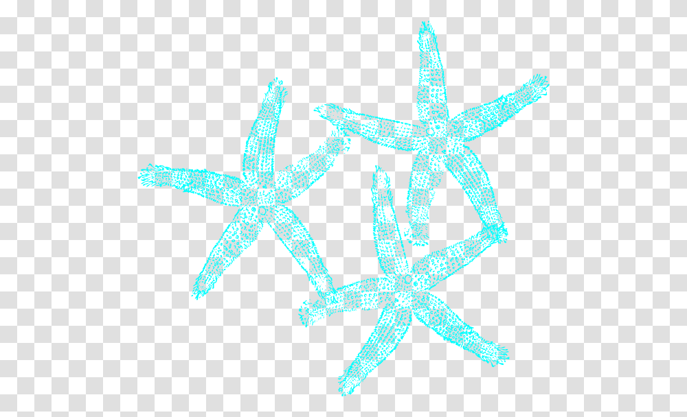 Turquoise Starfish Clipart Turquoise Coral Clipart, Invertebrate, Sea Life, Animal, Star Symbol Transparent Png