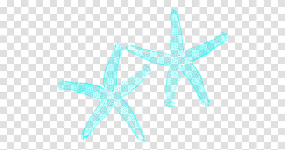 Turquoise Starfish Md Free Images, Star Symbol, Sea Life, Animal, Cross Transparent Png