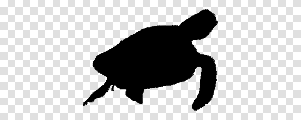 Turtle Animals, Gray, World Of Warcraft Transparent Png