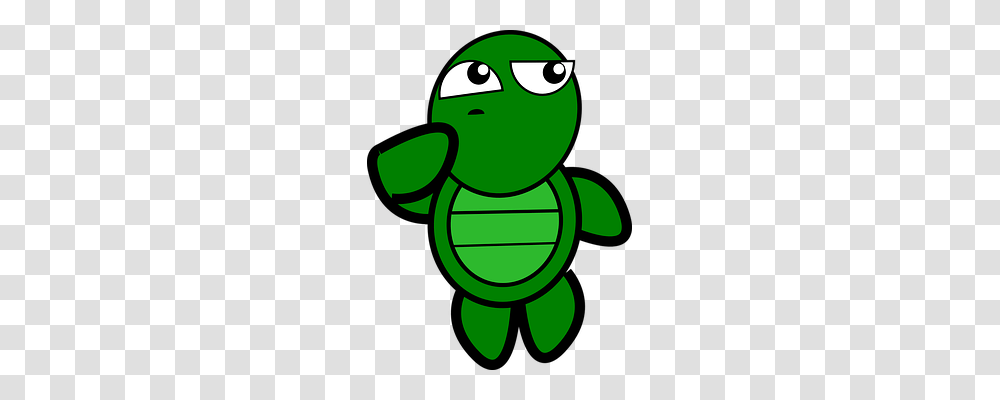Turtle Animals, Invertebrate, Insect Transparent Png