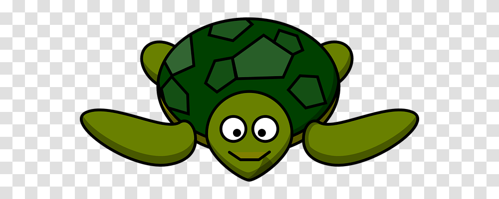 Turtle Emotion, Green, Recycling Symbol, Soccer Ball Transparent Png