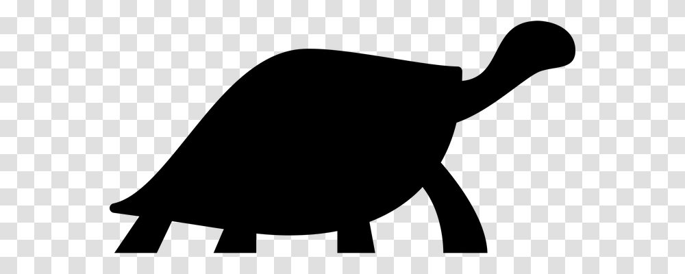 Turtle Animals, Gray, World Of Warcraft Transparent Png