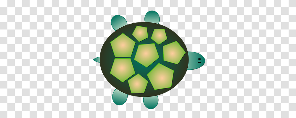 Turtle Animals, Sphere, Soccer Ball, Team Transparent Png