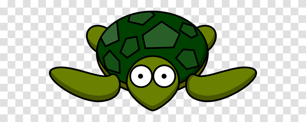 Turtle Animals, Green, Recycling Symbol, Plant Transparent Png